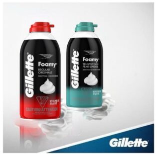 Gillette Foamy 311G