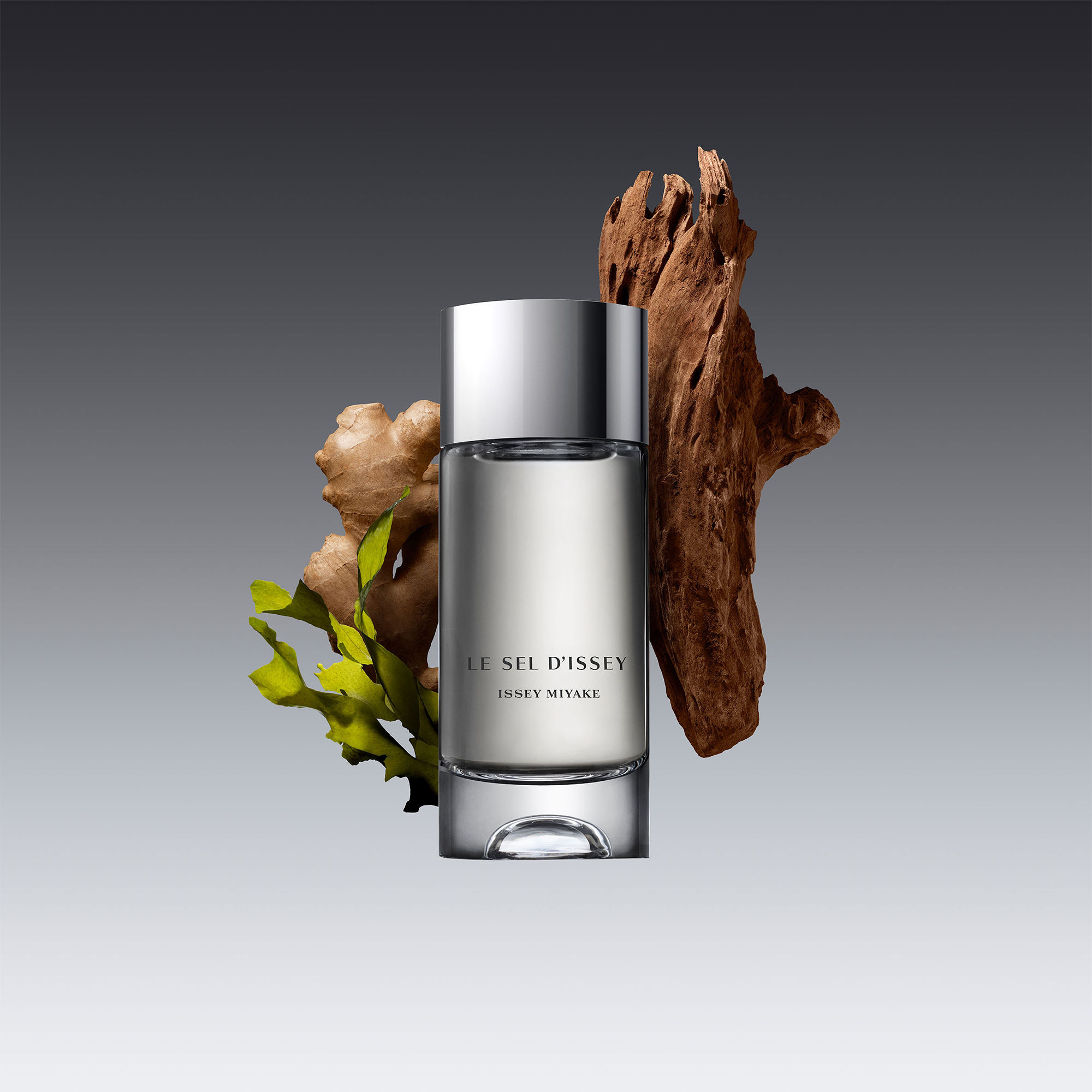 Issey Miyake Le Sel D'Issey Eau De Toilette(100ml) - Image 3